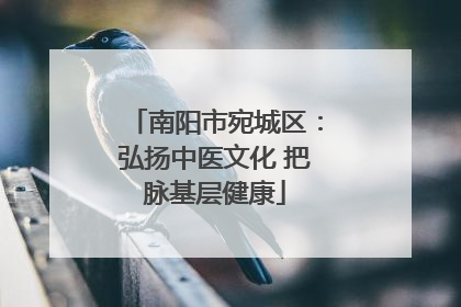 南阳市宛城区：弘扬中医文化 把脉基层健康