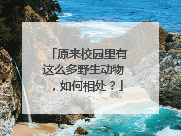 原来校园里有这么多野生动物，如何相处？