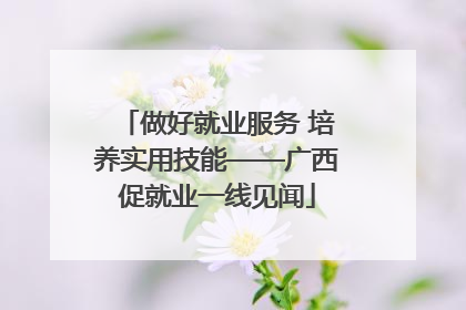 做好就业服务 培养实用技能——广西促就业一线见闻
