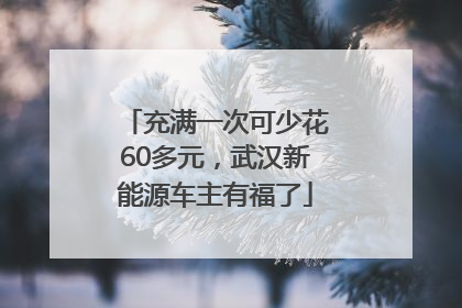 充满一次可少花60多元，武汉新能源车主有福了