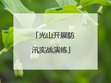 光山开展防汛实战演练