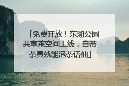 免费开放！东湖公园共享茶空间上线，自带茶具就能泡茶话仙