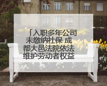 入职多年公司未缴纳社保 成都大邑法院依法维护劳动者权益这样判