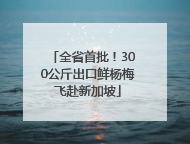 全省首批！300公斤出口鲜杨梅飞赴新加坡