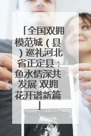 全国双拥模范城（县）巡礼河北省正定县：鱼水情深共发展 双拥花开谱新篇