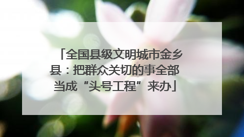 全国县级文明城市金乡县：把群众关切的事全部当成“头号工程”来办