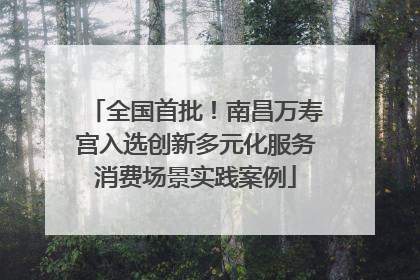 全国首批！南昌万寿宫入选创新多元化服务消费场景实践案例
