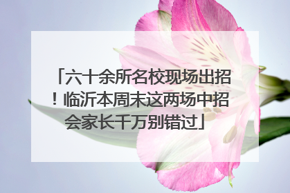 六十余所名校现场出招！临沂本周末这两场中招会家长千万别错过