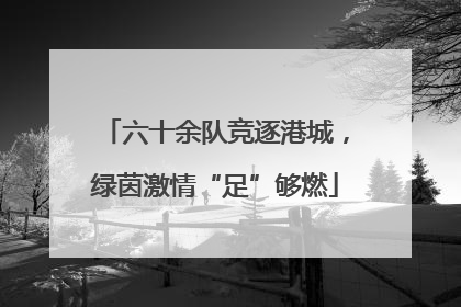 六十余队竞逐港城，绿茵激情“足”够燃