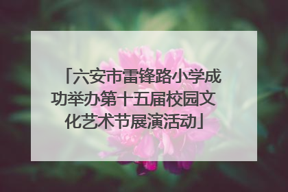 六安市雷锋路小学成功举办第十五届校园文化艺术节展演活动