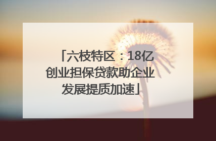 六枝特区：18亿创业担保贷款助企业发展提质加速
