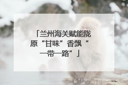 兰州海关赋能陇原“甘味”香飘“一带一路”