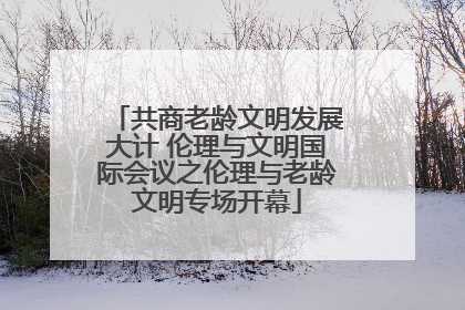 共商老龄文明发展大计 伦理与文明国际会议之伦理与老龄文明专场开幕