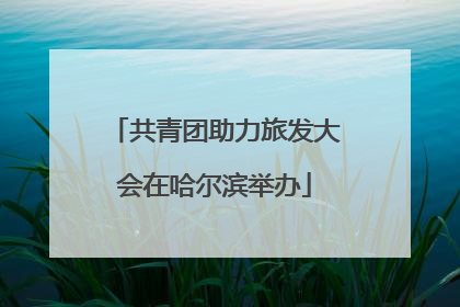 共青团助力旅发大会在哈尔滨举办