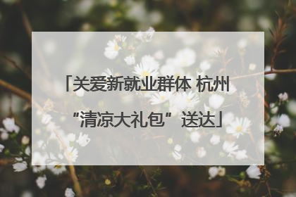 关爱新就业群体 杭州“清凉大礼包”送达