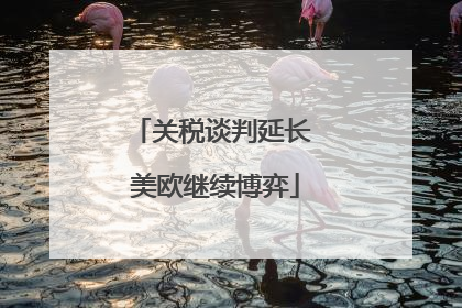 关税谈判延长 美欧继续博弈