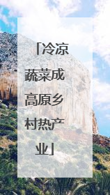 冷凉蔬菜成高原乡村热产业