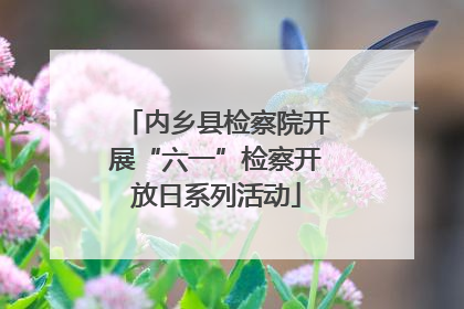 内乡县检察院开展“六一”检察开放日系列活动