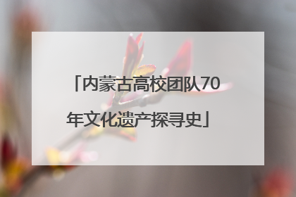内蒙古高校团队70年文化遗产探寻史