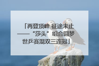 再登顶峰 征途未止——“莎头”组合圆梦世乒赛混双三连冠