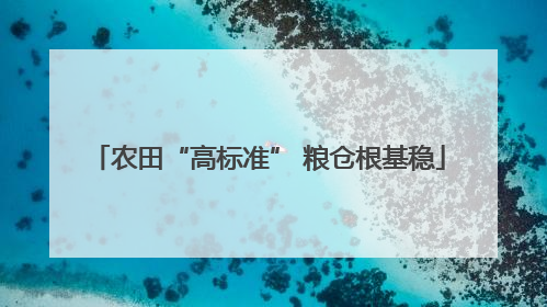 农田“高标准” 粮仓根基稳
