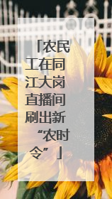 农民工在同江大岗直播间刷出新“农时令”