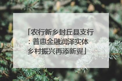 农行新乡封丘县支行：普惠金融润泽实体 乡村振兴再添新翼