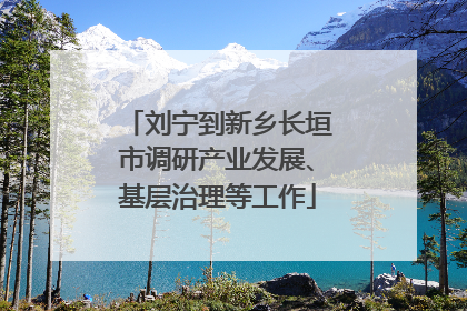 刘宁到新乡长垣市调研产业发展、基层治理等工作