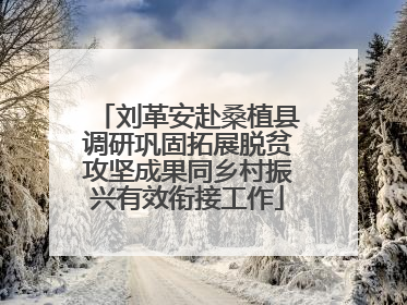 刘革安赴桑植县调研巩固拓展脱贫攻坚成果同乡村振兴有效衔接工作
