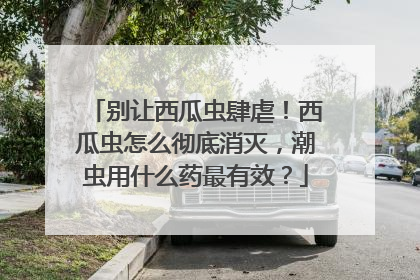 别让西瓜虫肆虐！西瓜虫怎么彻底消灭，潮虫用什么药最有效？