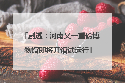 剧透：河南又一重磅博物馆即将开馆试运行