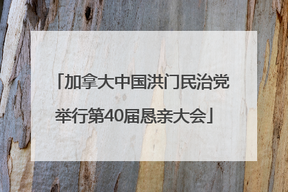 加拿大中国洪门民治党举行第40届恳亲大会