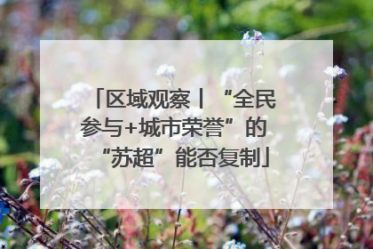 区域观察丨“全民参与+城市荣誉”的“苏超”能否复制