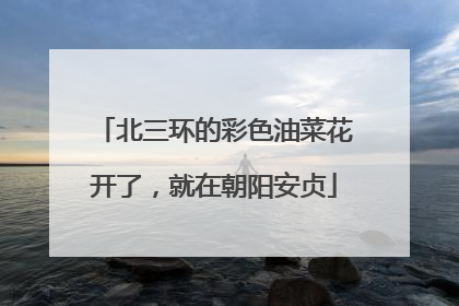 北三环的彩色油菜花开了，就在朝阳安贞