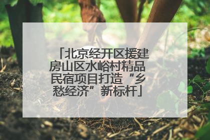 北京经开区援建房山区水峪村精品民宿项目打造“乡愁经济”新标杆