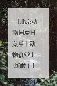 北京动物园夏日菜单丨动物食堂上新啦！