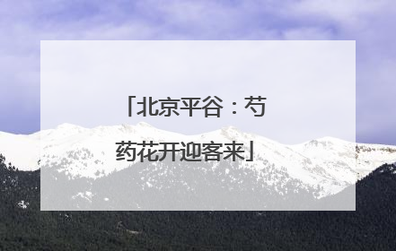 北京平谷：芍药花开迎客来