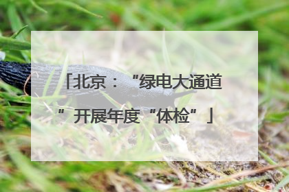 北京：“绿电大通道”开展年度“体检”