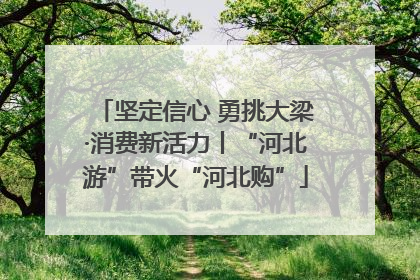 坚定信心 勇挑大梁·消费新活力丨“河北游”带火“河北购”