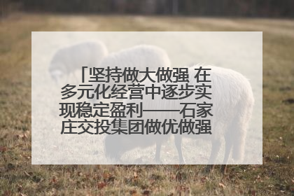 坚持做大做强 在多元化经营中逐步实现稳定盈利——石家庄交投集团做优做强典型报道之三