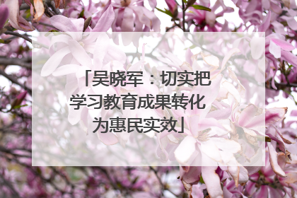 吴晓军：切实把学习教育成果转化为惠民实效