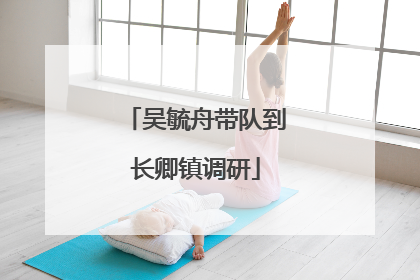 吴毓舟带队到长卿镇调研