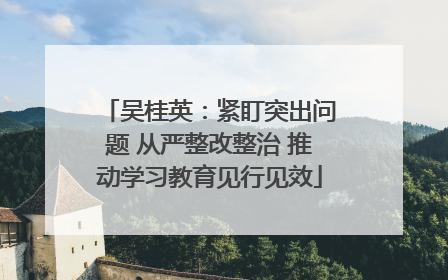 吴桂英：紧盯突出问题 从严整改整治 推动学习教育见行见效