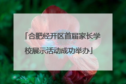 合肥经开区首届家长学校展示活动成功举办