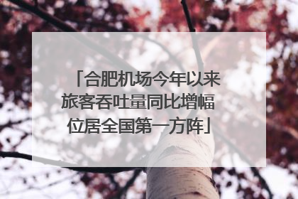 合肥机场今年以来旅客吞吐量同比增幅位居全国第一方阵