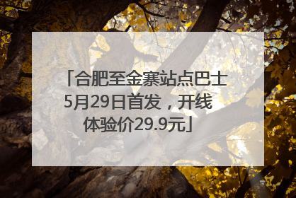 合肥至金寨站点巴士5月29日首发，开线体验价29.9元