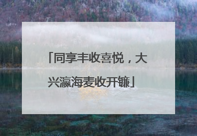 同享丰收喜悦，大兴瀛海麦收开镰