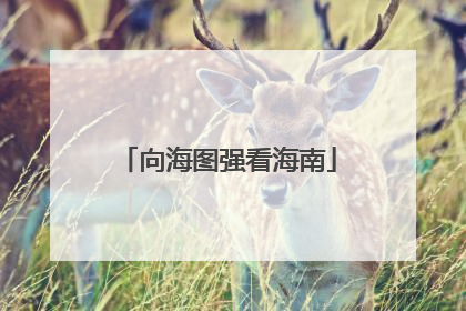 向海图强看海南