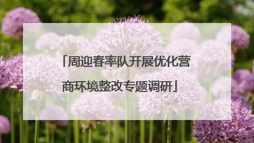 周迎春率队开展优化营商环境整改专题调研