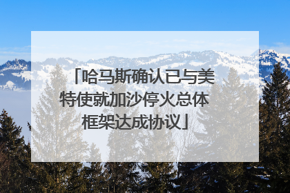 哈马斯确认已与美特使就加沙停火总体框架达成协议